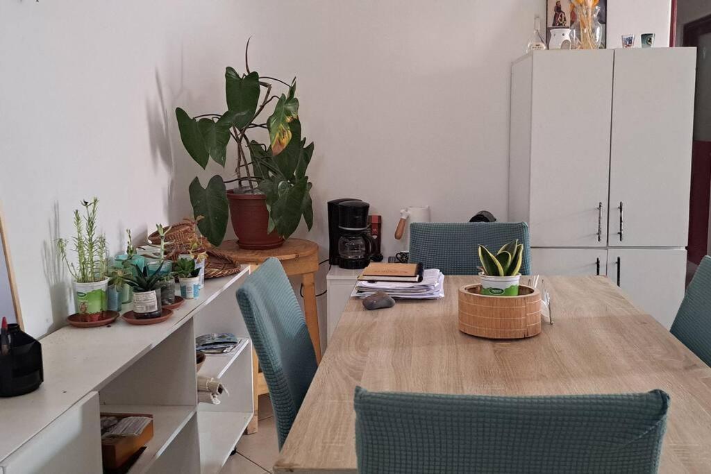 Mendes Family Homestay - B&B In The Heart Of برايا المظهر الخارجي الصورة