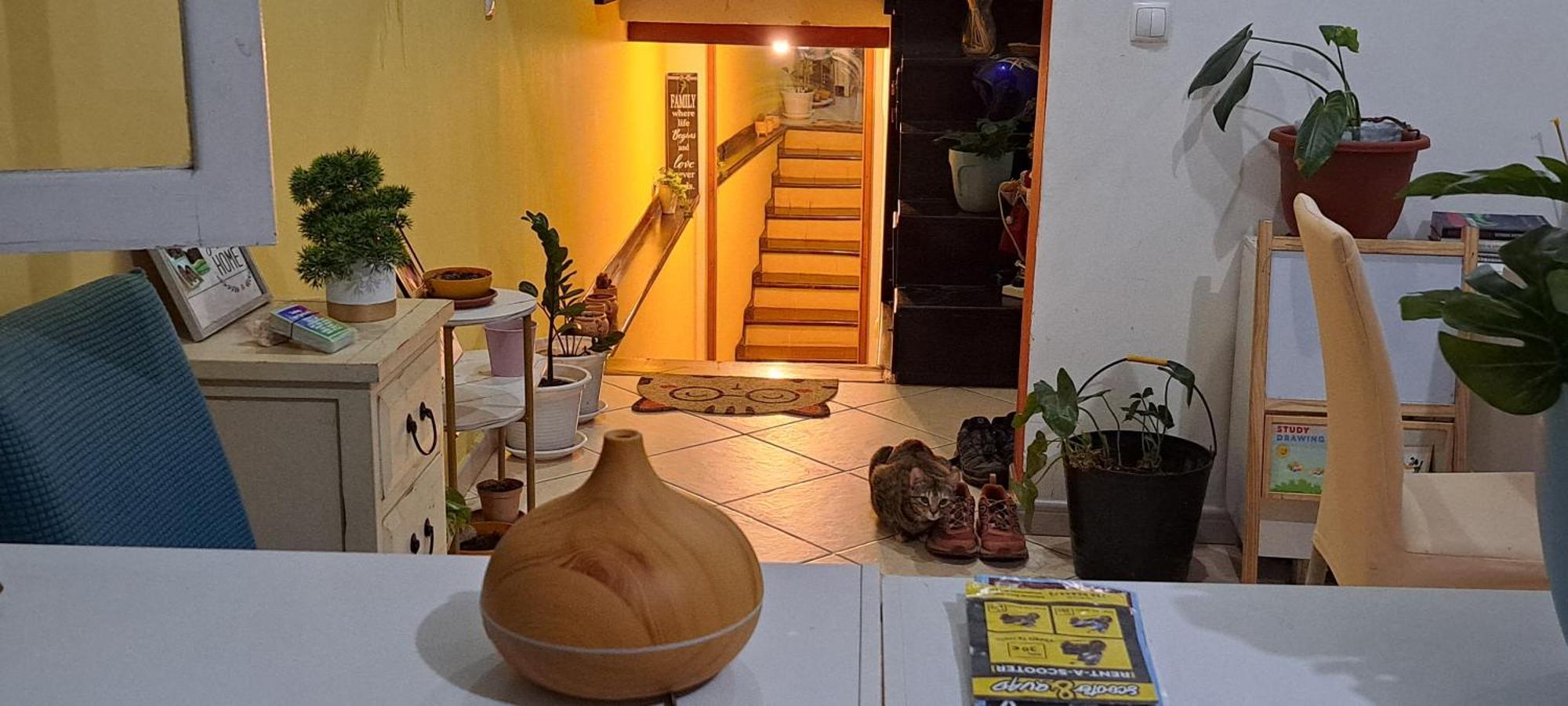 Mendes Family Homestay - B&B In The Heart Of برايا المظهر الخارجي الصورة